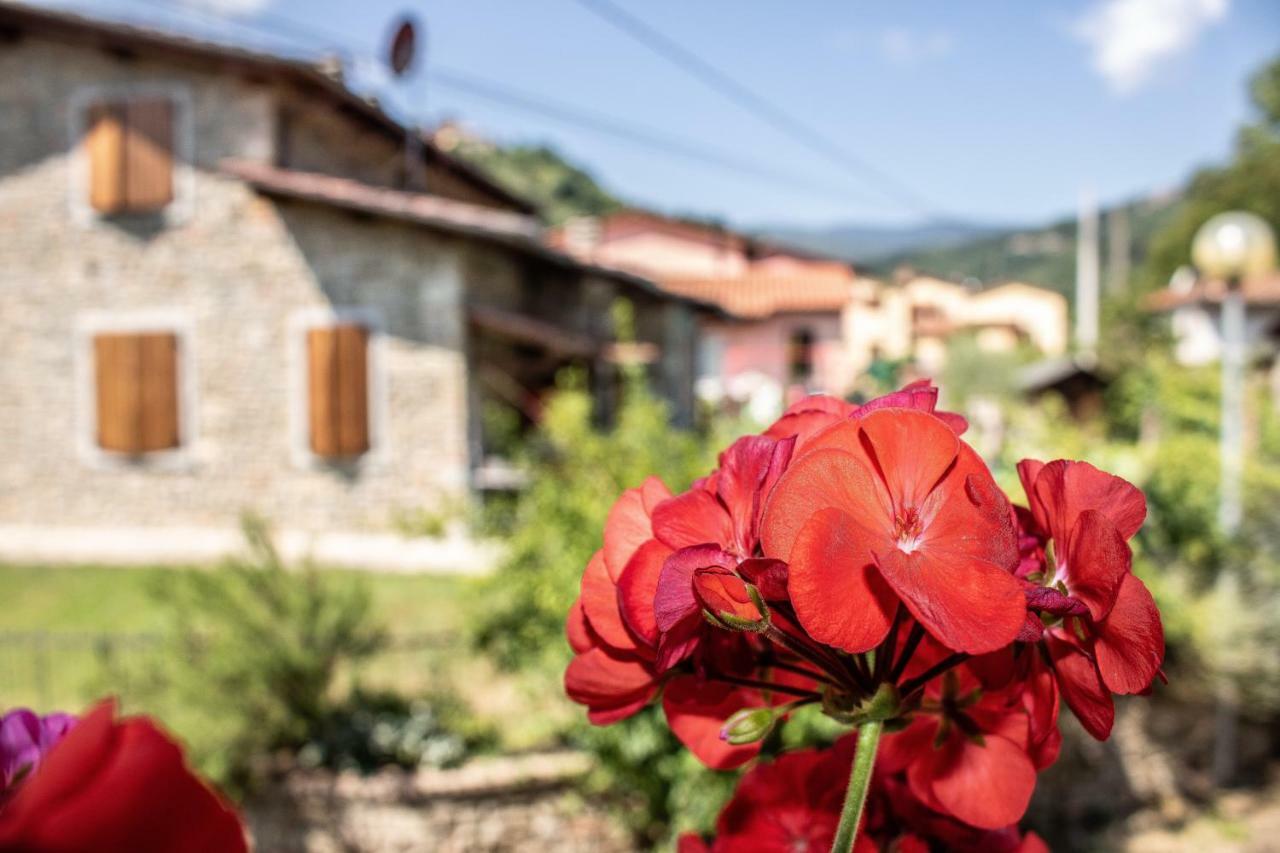 B&B La Casa D'Artista Ortignano Raggiolo 外观 照片