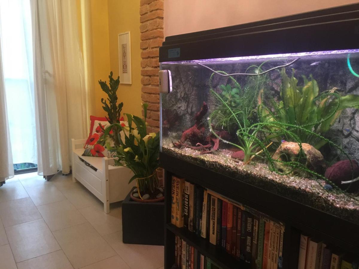 B&B La Casa D'Artista Ortignano Raggiolo 外观 照片